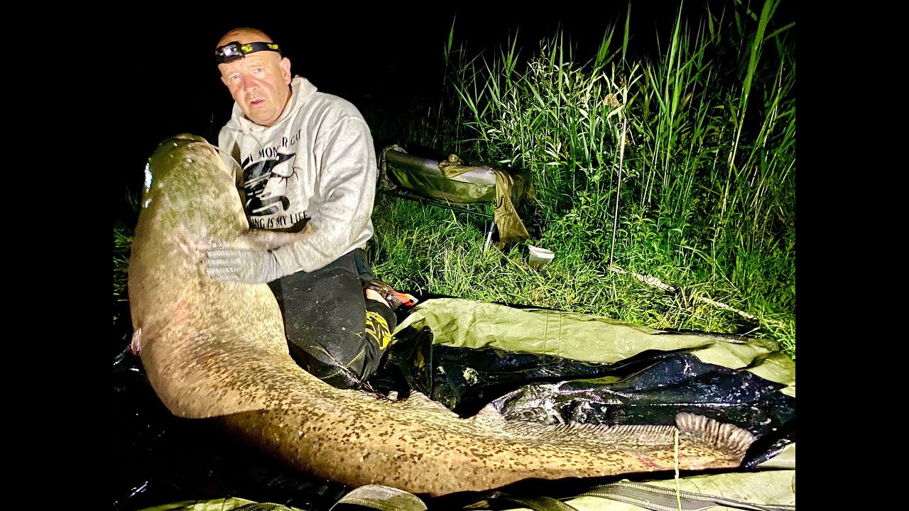 Harcsahorgászat upose és bójás módszerrel