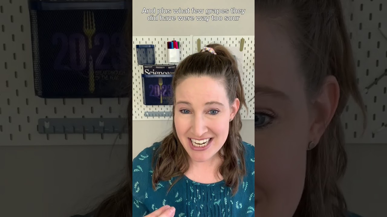 ☠️ The Dark Truth Behind Austria's Wine Industry 🍷  