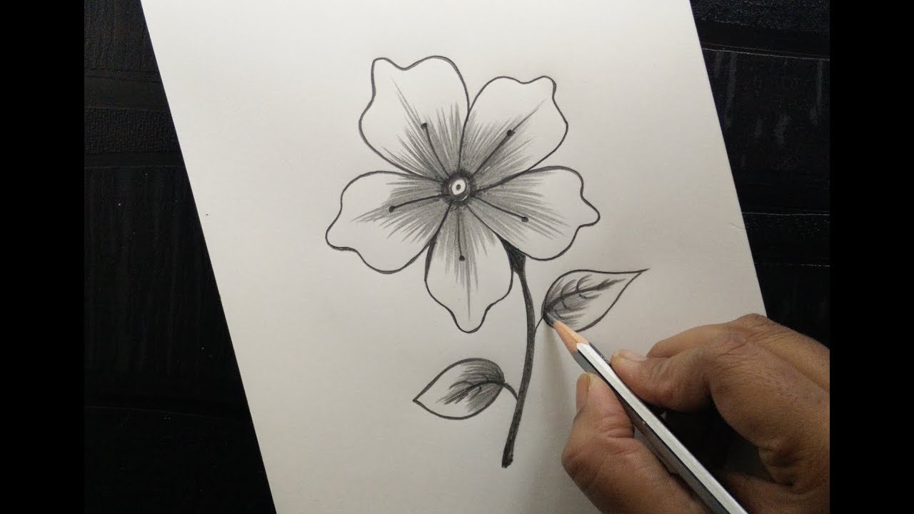 Easy flowers to draw – step-by-step tutorials + pictures