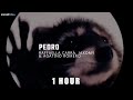 la canción de pedro | PEDRO - Raffaella Carrà, Jaxomy, Agatino Romero (Remix TikTok) [1 HOUR]