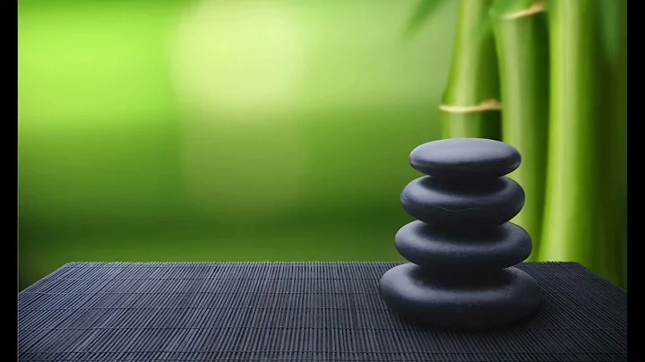 ALAN WATTS CHILLSTEP 5 🍀 TERRESTRIAL EXITIUM 1 🍀