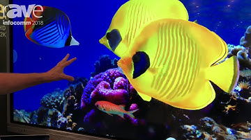 InfoComm 2018: NorthVision Intros VisionShare, World’s First Wireless True 4K Collaboration System