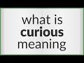 Curious | meaning of Curious