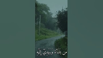 المملكه العربيه السعوديه#مصر#القرآن الكريم#محمد رسول الله #ولي_العهد