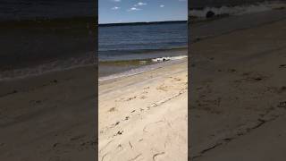 Beach on Pamlico River!