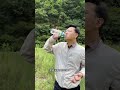 第一次抓到情侣蝈蝈 碎嘴子 户外野采 第一次抓到情侣蝈蝈 碎嘴子 户外野采