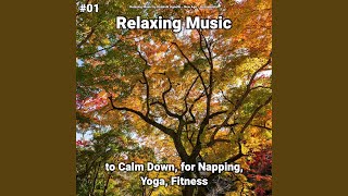 Soft Music screenshot 3