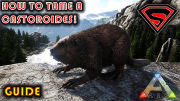 ARK HOW TO TAME A CASTOROIDES (BEAVER) 2020 - EVERYTHING YOU NEED TO KNOW ABOUT TAMING A CASTOROIDES