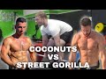 COCONUTS VS @Street Gorilla(meno male che c'era Power) | UCC Ultimate Calisthenics Champinship