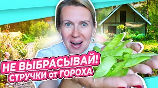 КАК Я РАНЬШЕ ЭТО НЕ ПРОБОВАЛА! | ЕДИМ ГОРОХ СО СТРУЧКАМИ | ПЛЮС РЕЦЕПТ