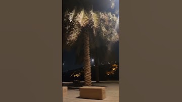 تلاوة مريحة للنفس😭🫵{الذين يذكرون الله قياما وقعودا وعلى جنوبهم}#القرآن_الكريم #راحة نفسية #ارح_سمعك🎧