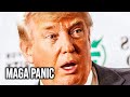 MAGA Influencer Goes FULL PANIC As Humiliating Trump Con Falls Apart #TDR