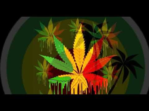 lagu-reggae-terbaru-pesonamu-sahabat-rasta-lirik