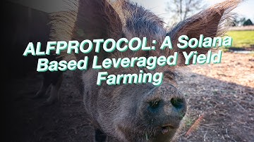 ALFPROTOCOL: A Solana Based Leveraged Yield Farming