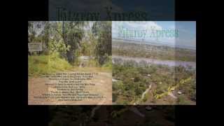 Fitzroy Xpress - Long Summer Nights chords