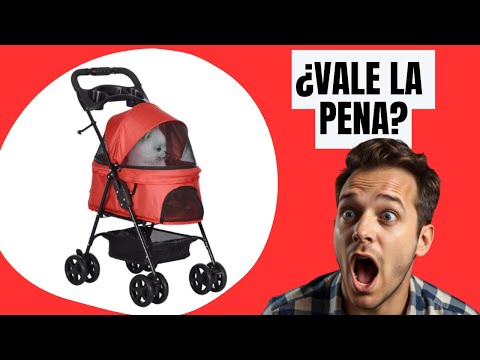 🎬 Video relacionado con carros para perros