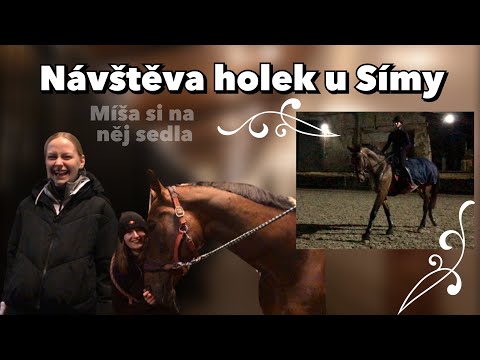 Video: Kolik stojí výměna floridského ID?