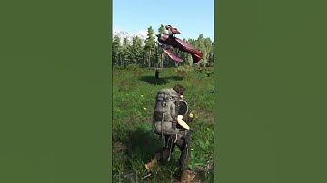 Never ride on an airplane