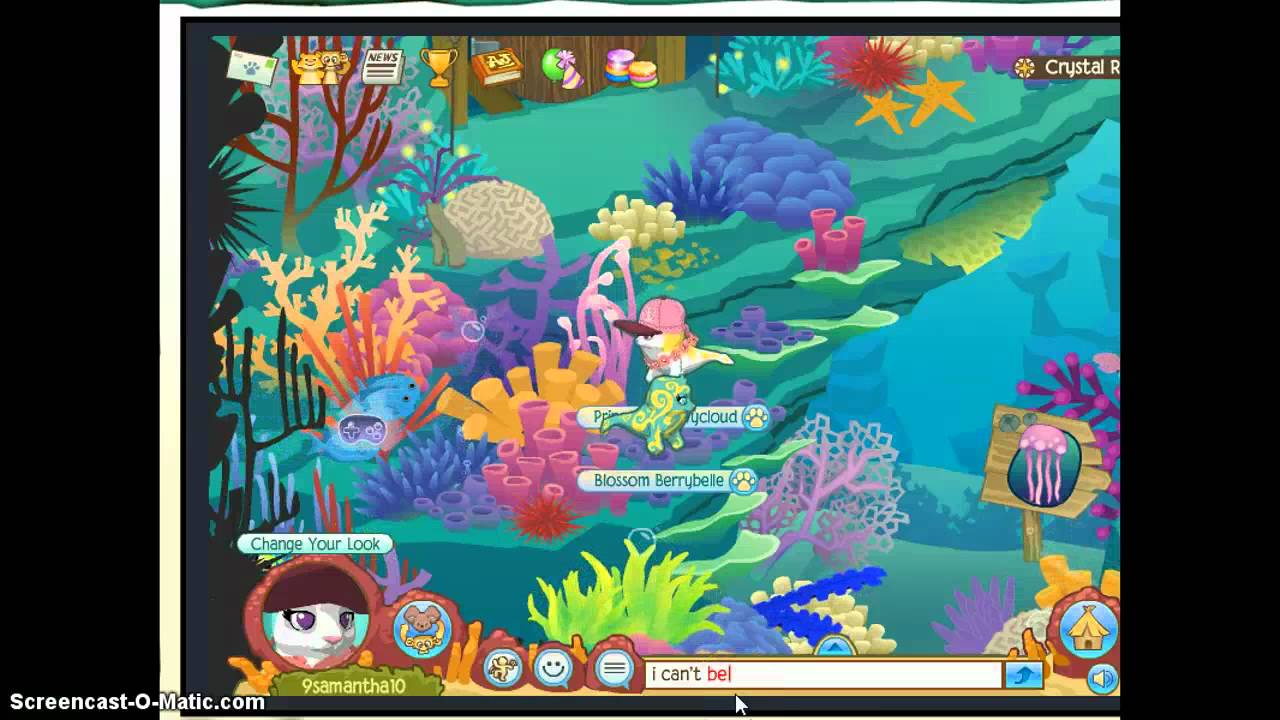 Animal jam crystal reef journey book YouTube