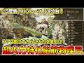 星5歴戦アルシュベルドを4分台で狩猟可能な超火力特化物理弓装備を紹介！ゴア4部位でさらに火力を底上げした結果化けました【モンハンワイルズ】【モンスターハンターワイルズ】