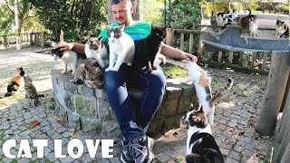 Stray cats see this man's lap as their mother's lap and find peace there.
