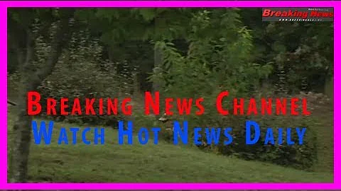 Army sgt. bowe bergdahl pleads guilty to desertion and misbehavior before the enemy