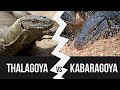 Thalagoya vs kabaragoya
