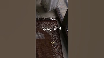 ما تيسر من سورة طه ❤️‍🩹 #reels #قرآن #قرآن_کریم #قران #اللهـم #quran #quranvoice