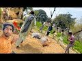 Porcupine hunting say ka shikar in village  dangerous shikar  hamza pendu