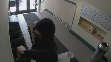 Mail thief caught on camera using postal master key