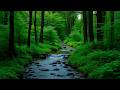 Dreamy Night Sky  Relaxing Instrumentals for Sleep
