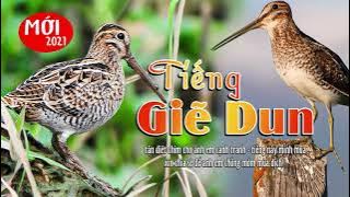 Tiếng Giẽ Giun bản mới 2021/ÂM THANH SĂN BẪY