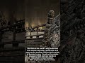 This 17th-Century Warship Sank in 1628 and Was Raised After 333 Years! #vikingculture #history