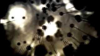 Björk - Cosmogony - 