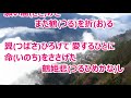 天空の里/水森かおり カラオケ