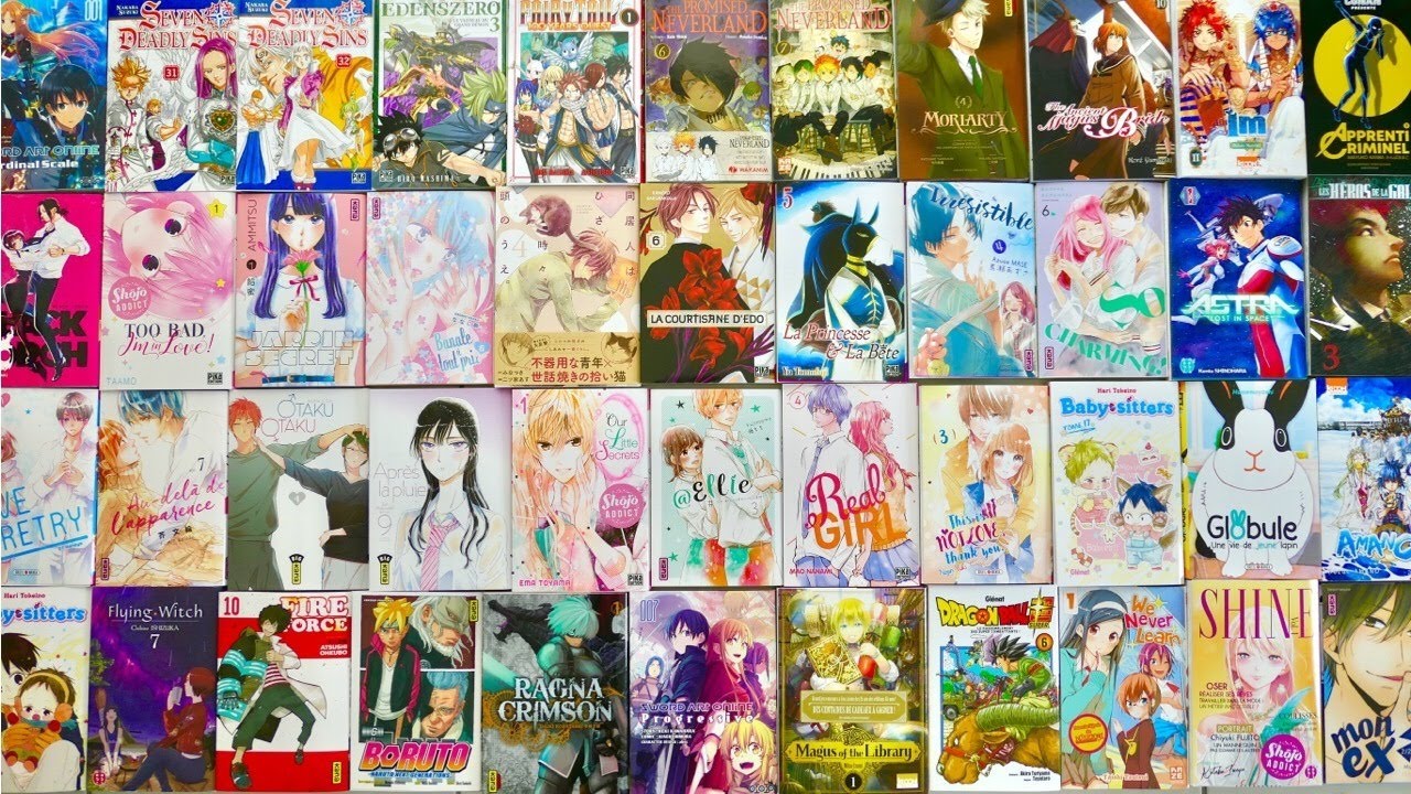 🔴 Retour de voyage au Japon : plein de lecture en France ! Nouveautés