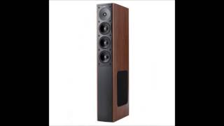 Jamo S608