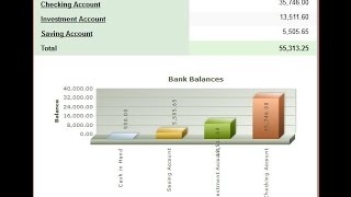 Finance Manager