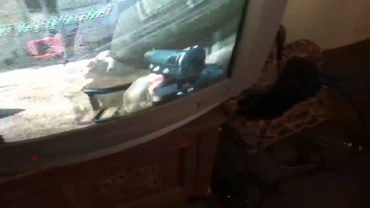 MW3 Aimbot: Project CoDMod