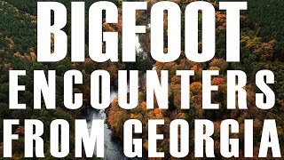 BIGFOOT EXPERIENCES AND ENCOUNTERS FROM GEORGIA STATE | THE CREATURE CROSSED THE ROAD!!!
