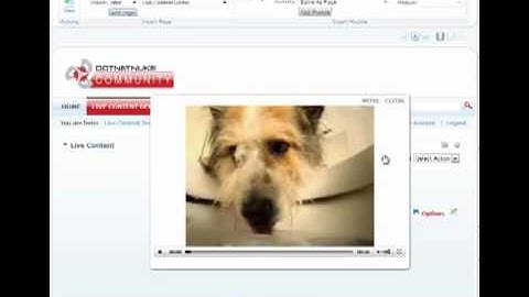 Live Content - eVideo Element | DotNetNuke Module | Mandeeps.com