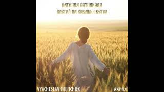 Улетай на крыльях ветра (vyacheslav shemchuck remix)