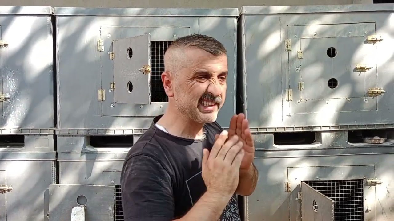 BAŞ HOROZCU NASIL OLUNUR. ( BİDE BÖYLE DİNLEYİN.)