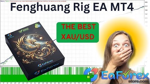 Fenghuang Rig EA MT4 Review + Setting | EA Forex Store
