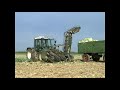 Fendt xylon and cabbage harvester