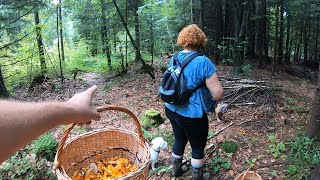 ЗАТРЯСЛИСЯ НЕ ТІЛЬКИ РУКИ!...Скрізь СУХО, а в нас ГРИБНИЙ БУМ!