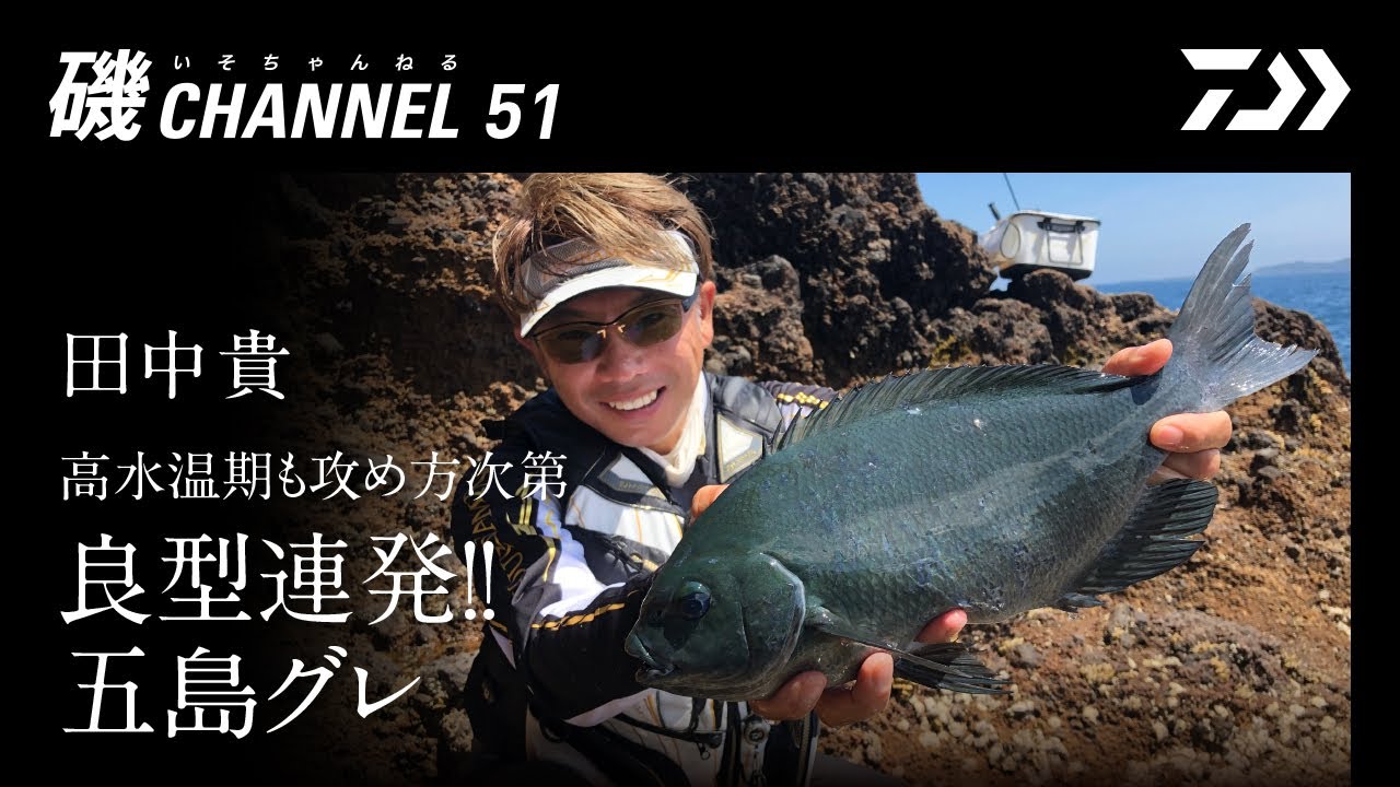 田中盛穂「海吠える」 田中貴「高水温期も攻め方次第 良型連発!! 五島グレ」の巻｜第五十一回