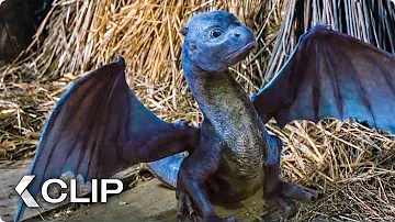 Feeding A Dragon Movie Clip - Eragon (2006)