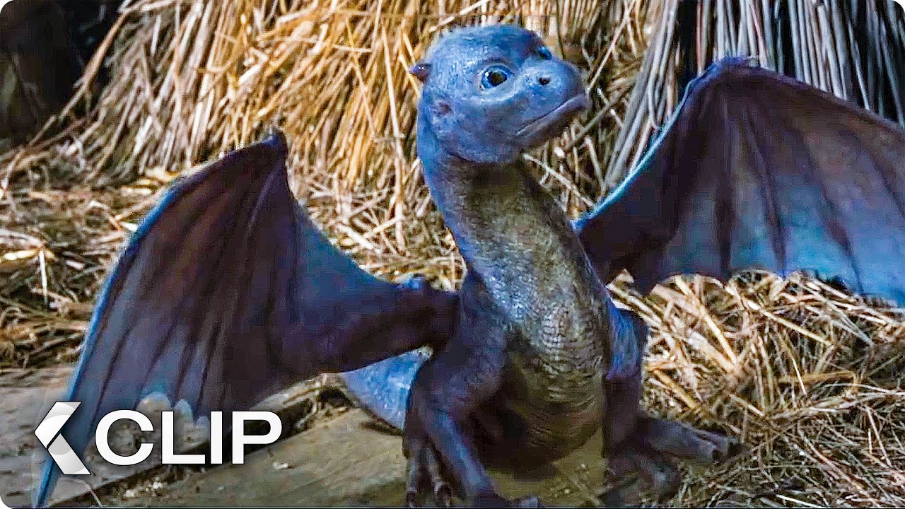 ⁣Feeding A Dragon Movie Clip - Eragon (2006)