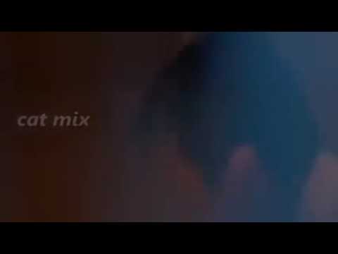 فيلم بيكيا جوده عاليه HD وصوت واضح